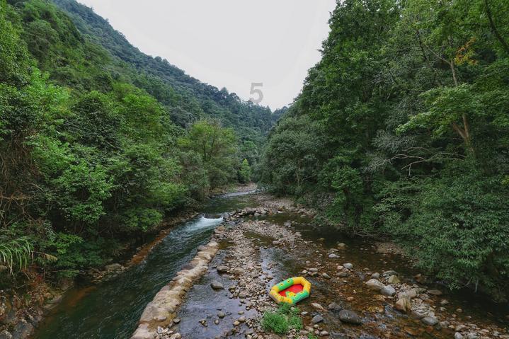 辐射避难所